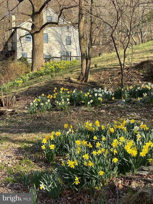 236 Piedmont Orchard Rd, LINDEN, VA, 22642-6728 | Card Image