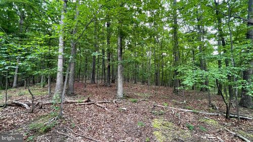 Lot 53 Hidden Springs Ct, Slanesville, WV, 25444 | Card Image