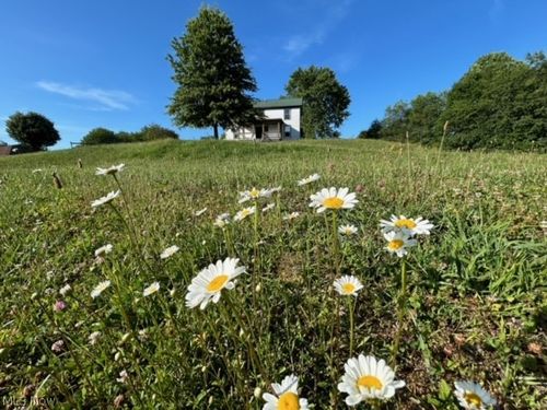 60 Zona Dr, Summersville, WV, 26651-4675 | Card Image