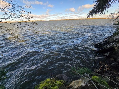 Tract 8 Brush Island, Angle Inlet, MN, 56711 | Card Image
