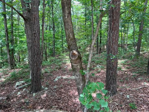 00 Rock Hill Road, Fairfield Bay, AR, 72088 | Card Image