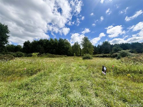 VL Eagling Road, Riley Township, MI, 48041 | Card Image