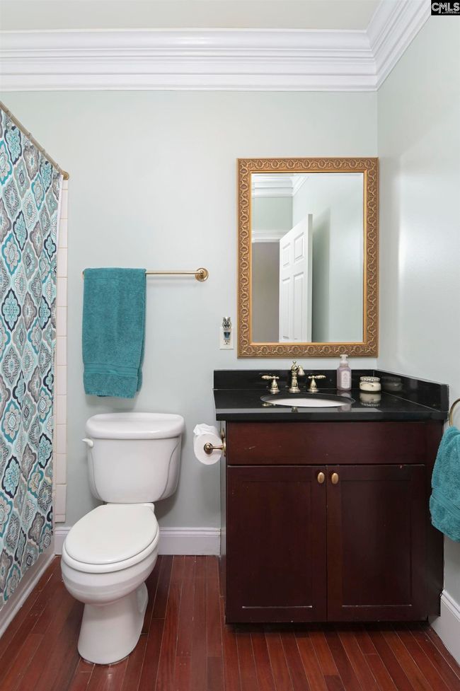 808 Island Point Ln, House other with 5 bedrooms, 5 bathrooms and null parking in Chapin SC | Image 37