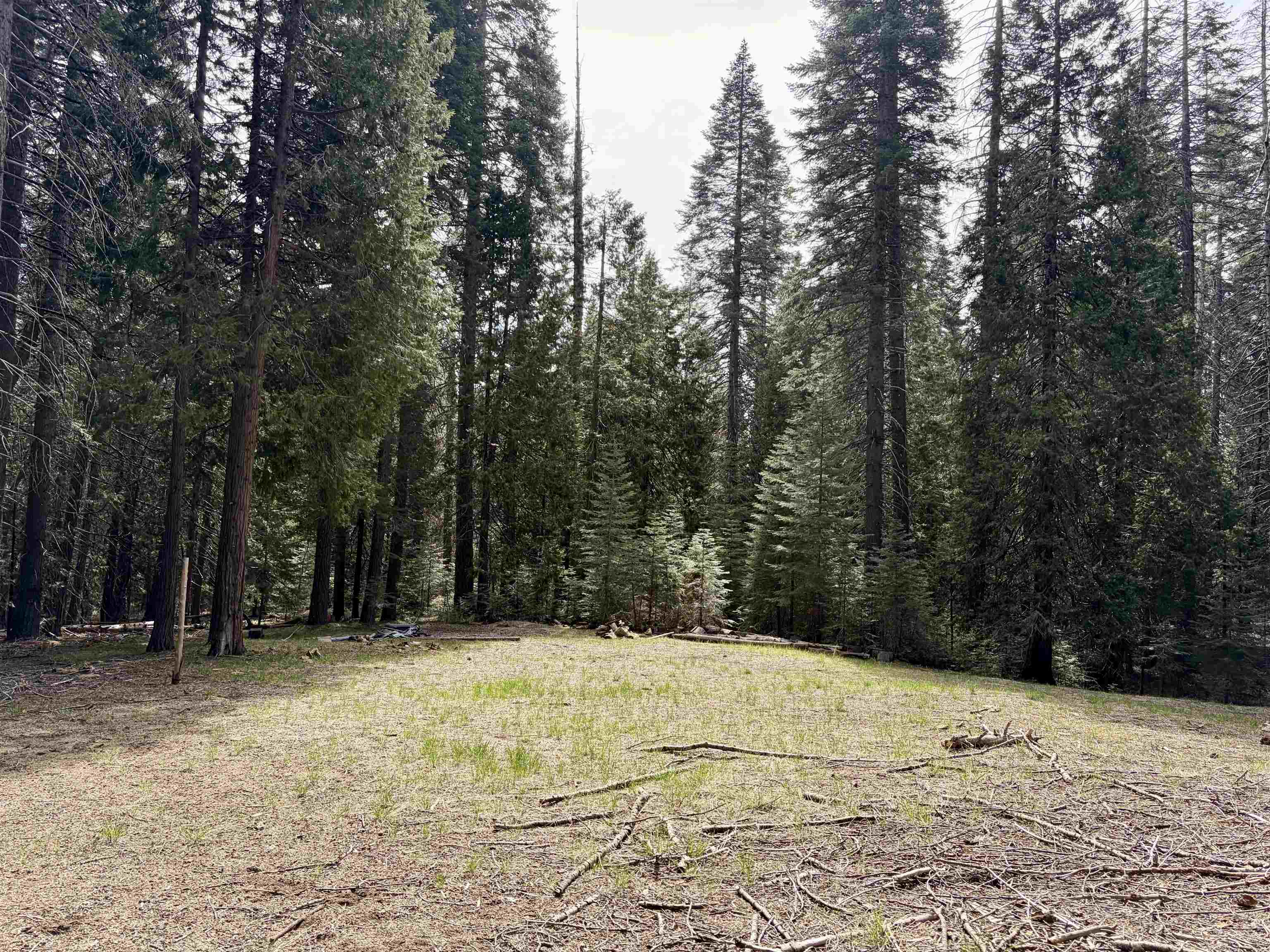 Land in McCloud 4