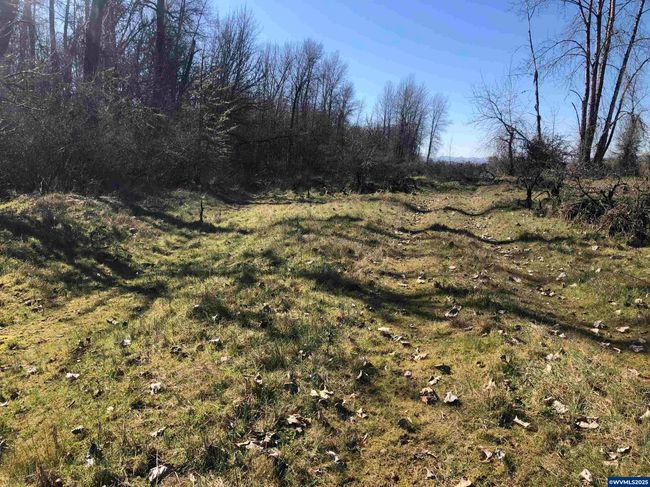 TA 352602 off Goracke Rd, Home with 0 bedrooms, 0 bathrooms and null parking in Monroe OR | Image 4