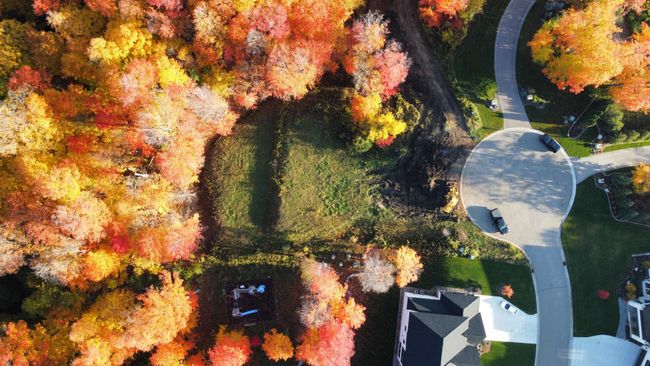 6460 Hawks Pointe Ln, House other with 5 bedrooms, 4 bathrooms and null parking in Excelsior MN | Image 4