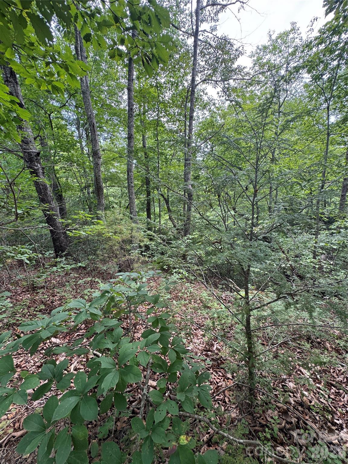Land in Lake Lure 5