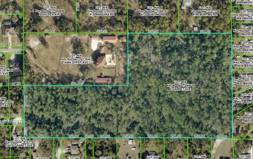 0 Gannet Ave, Brooksville, FL, 34613 | Card Image