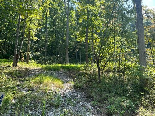 54 Yellowstone Drive, East Bernstadt, KY, 40729 | Card Image