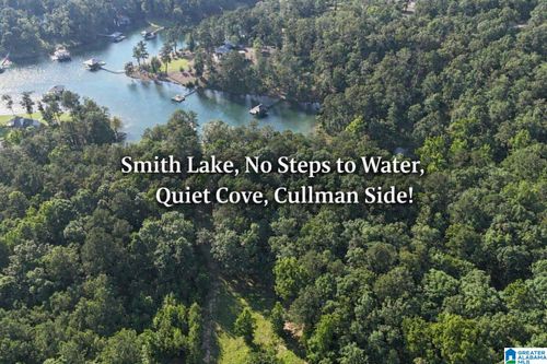 116-116 County Road 182, Crane Hill, AL, 35053 | Card Image