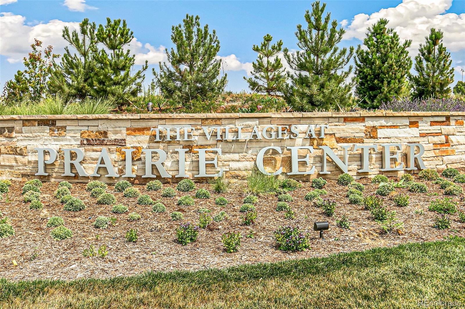 Grey Owl Pl, Brighton, CO 80601