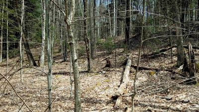 LOT-2 - Brookview Lane, Home with 0 bedrooms, 0 bathrooms and null parking in Wolcott VT | Image 1