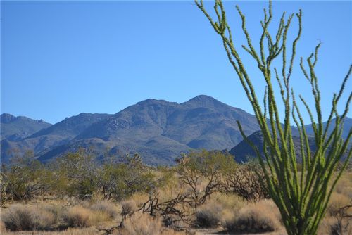 230 Maricopa Drive, Yucca, AZ, 86438 | Card Image