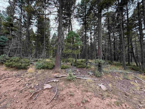 174 Snowbird Ln, Angel Fire, NM, 87710 | Card Image