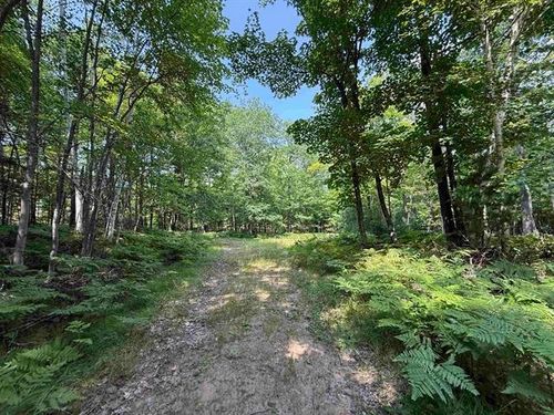 xxx County Highway A, Iron River, WI, 54847 | Card Image