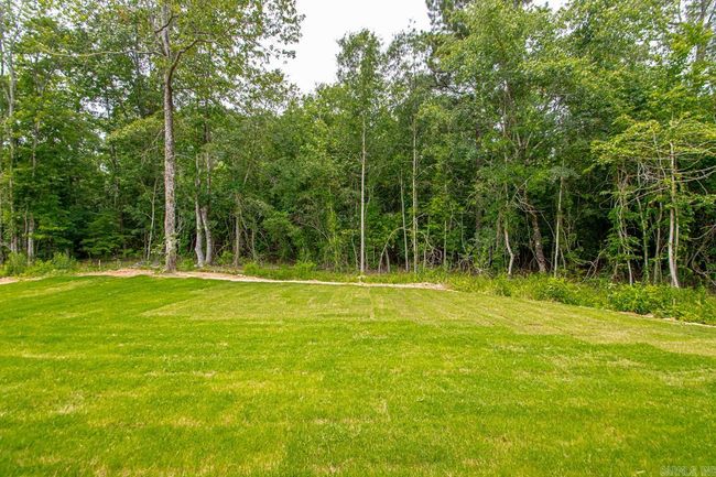 6185 Creekwater Dr, House other with 4 bedrooms, 3 bathrooms and null parking in Alexander AR | Image 47