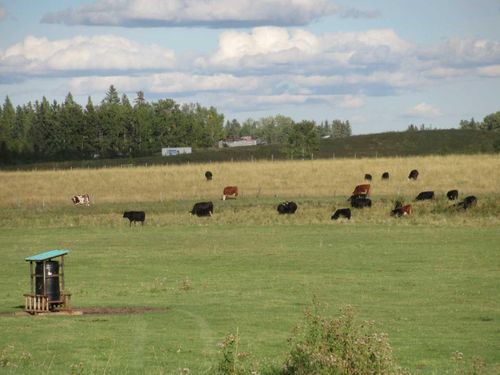 135 2 Ave, Condor, AB, T0M0P0 | Card Image