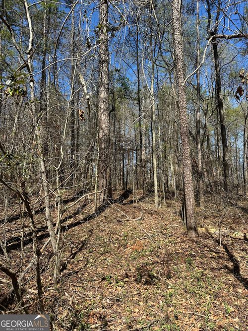 0 Poplar Mountain Ln, Carnesville, GA, 30521 | Card Image
