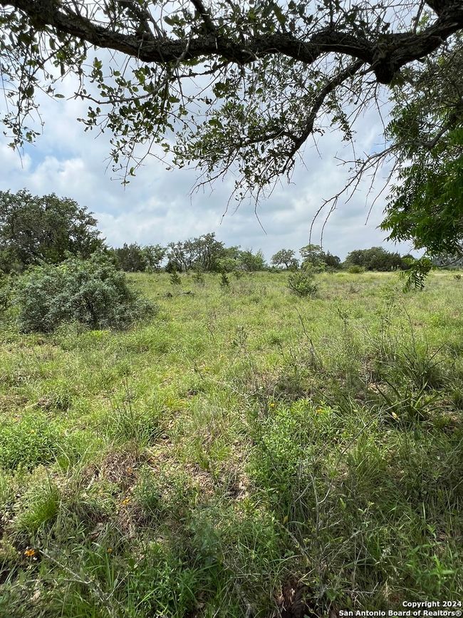 23 Lipan Apache Run, Home with 0 bedrooms, 0 bathrooms and null parking in Blanco TX | Image 11