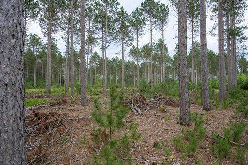 Lot 5 Bollig Court, Port Edwards, WI, 54457 | Card Image