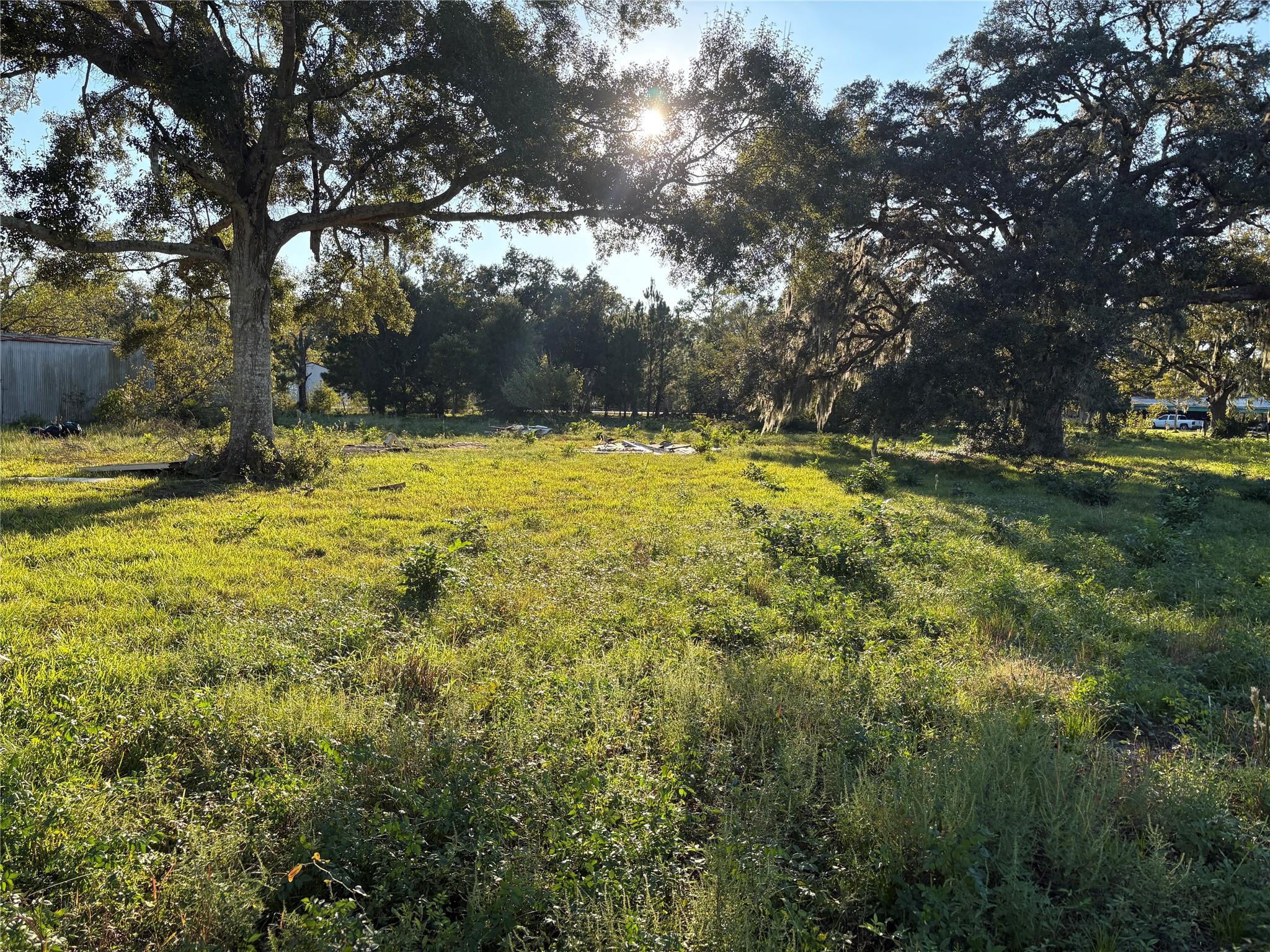 Land in West Columbia
