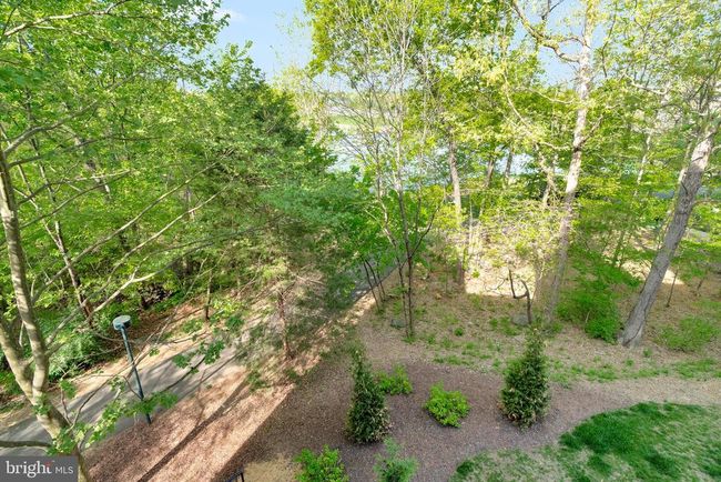 APT-202 - 12161 Abington Hall Pl, Condo with 2 bedrooms, 2 bathrooms and null parking in RESTON VA | Image 40