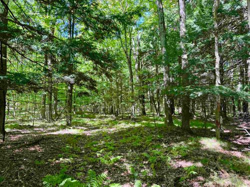 V/L 180th Ave, Stanwood, MI, 49346 | Card Image