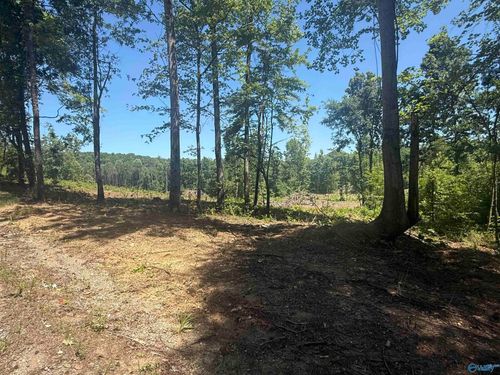 10 AC Bishop Mountain Rd, Grant, AL, 35747 | Card Image