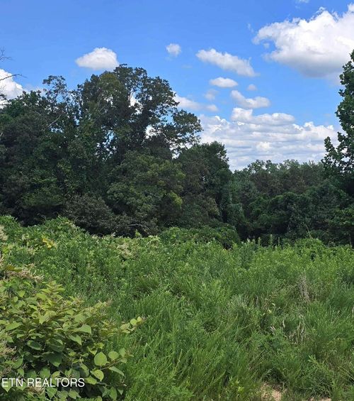 52 Paint Rock Ferry Rd, Kingston, TN, 37763-2937 | Card Image