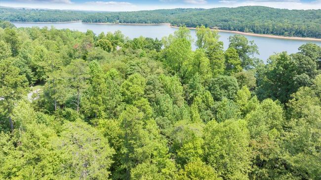 10-DJI_20240809112928_0007_D_MIB | Image 10