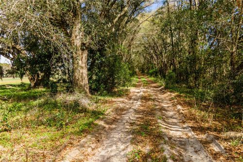 TBD Nw 298 St, Newberry, FL, 32669 | Card Image