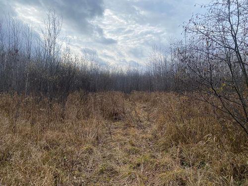 NEAR Timber Rd, Catawba, WI, 54515 | Card Image