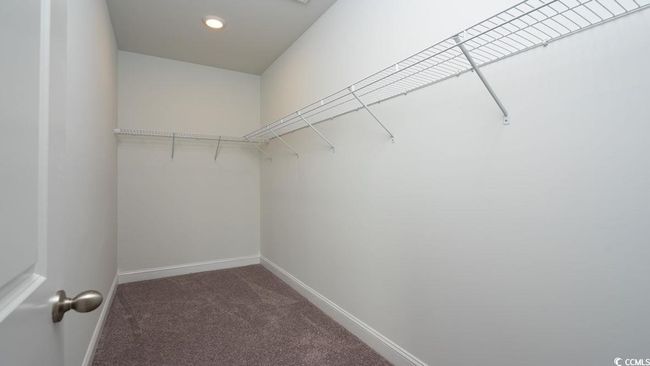 Spacious closet featuring carpet | Image 25