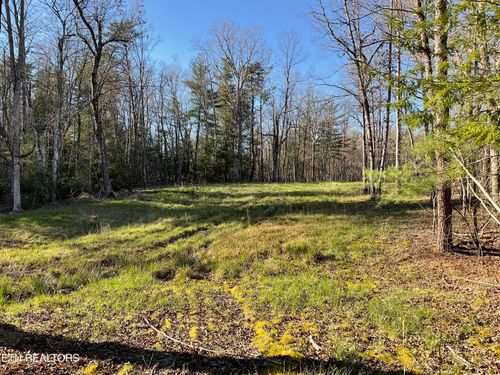 Tract 2 Pine Breeze Drive, Monterey, TN, 38574 | Card Image