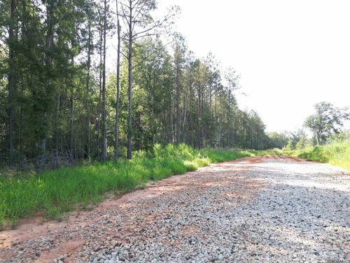 LOT 3 Critter Cove Ln, Livingston, LA, 70754 | Card Image