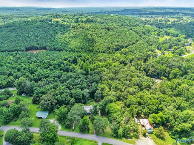 173 Brock Chapel Rd, House other with 4 bedrooms, 2 bathrooms and null parking in Union Grove AL | Image 38