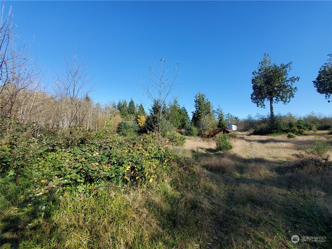 36602 Stackpole Rd, Home with 0 bedrooms, 0 bathrooms and null parking in Oysterville WA | Image 11