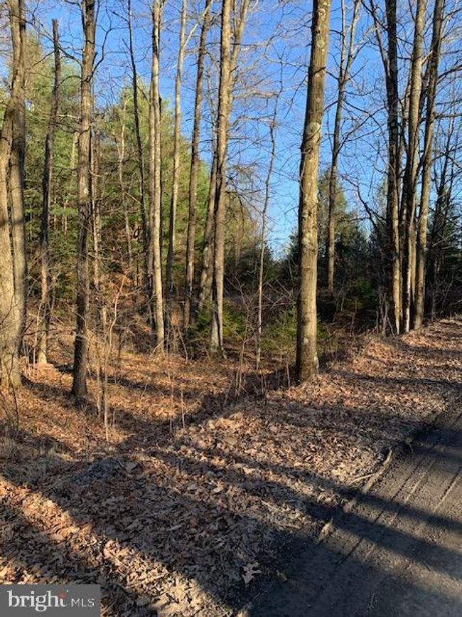0 Little Wolf Rd, Home with 0 bedrooms, 0 bathrooms and null parking in CLARENCE PA | Image 4