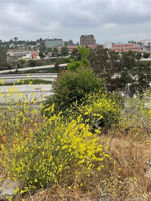 4433 Hayes, Los Angeles, CA, 90063 | Card Image