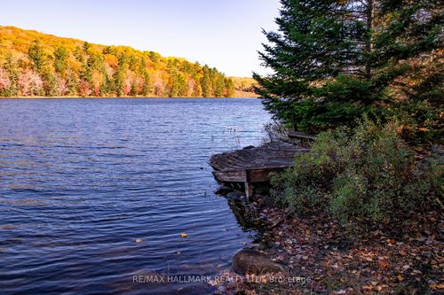 3517 Haliburton Lake Rd, Haliburton, ON, K0M1S0 | Card Image