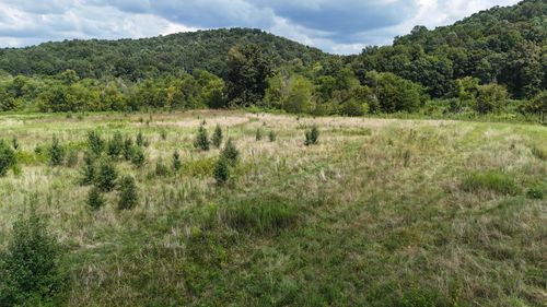 0 County Road 60, Riceville, TN, 37370 | Card Image