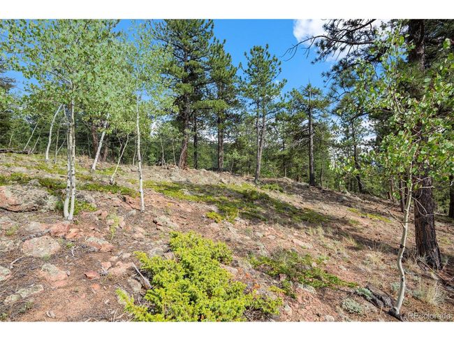 50 Road P78, House other with 5 bedrooms, 5 bathrooms and null parking in Bailey CO | Image 39