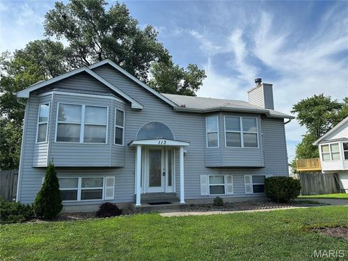 113 Heron Ct, Saint Peters, MO, 63376-5038 | Card Image
