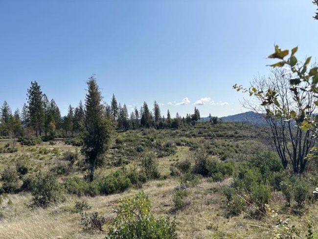 19292 Shawnee Trl, Home with 0 bedrooms, 0 bathrooms and null parking in Mokelumne Hill CA | Image 24