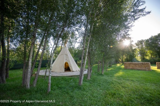 1207 Hooks Spur Rd, House other with 4 bedrooms, 5 bathrooms and null parking in Basalt CO | Image 10
