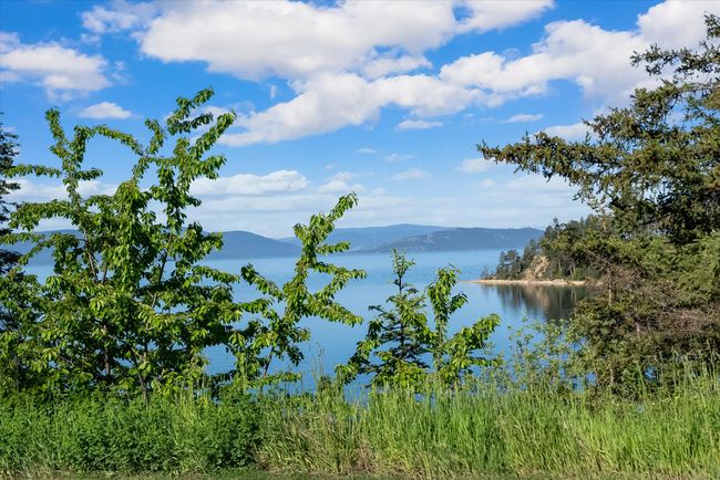 Yellow Bay | Image 35