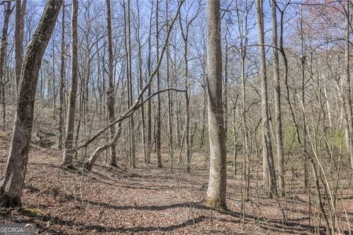 LOT 62 Cherokee Wood Hollow Dr, Ball Ground, GA, 30107-5721 | Card Image