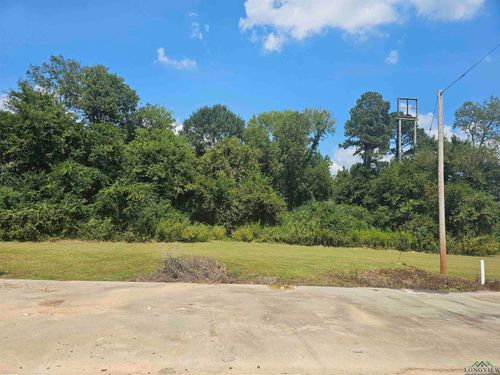TBD Ne Loop, Carthage, TX, 75633 | Card Image