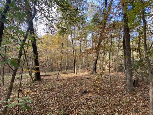 TBD Driftwood Ct, Jefferson, TX, 75657 | Card Image