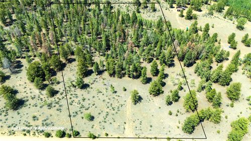 1036 Pulver Rd, Lake George, CO, 80827-9607 | Card Image
